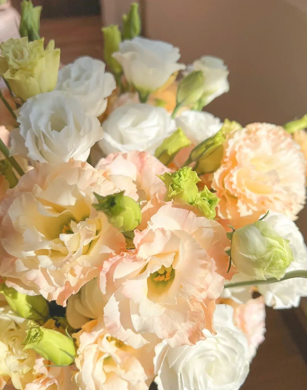 đLisianthus â IdĆtlen szĂ©psĂ©g, örök szerelemđ«