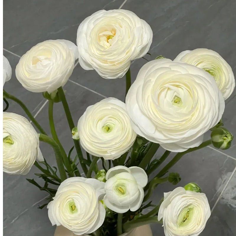 Boglárka hagymás virágai – finom, elegáns, felejthetetlen 🌸