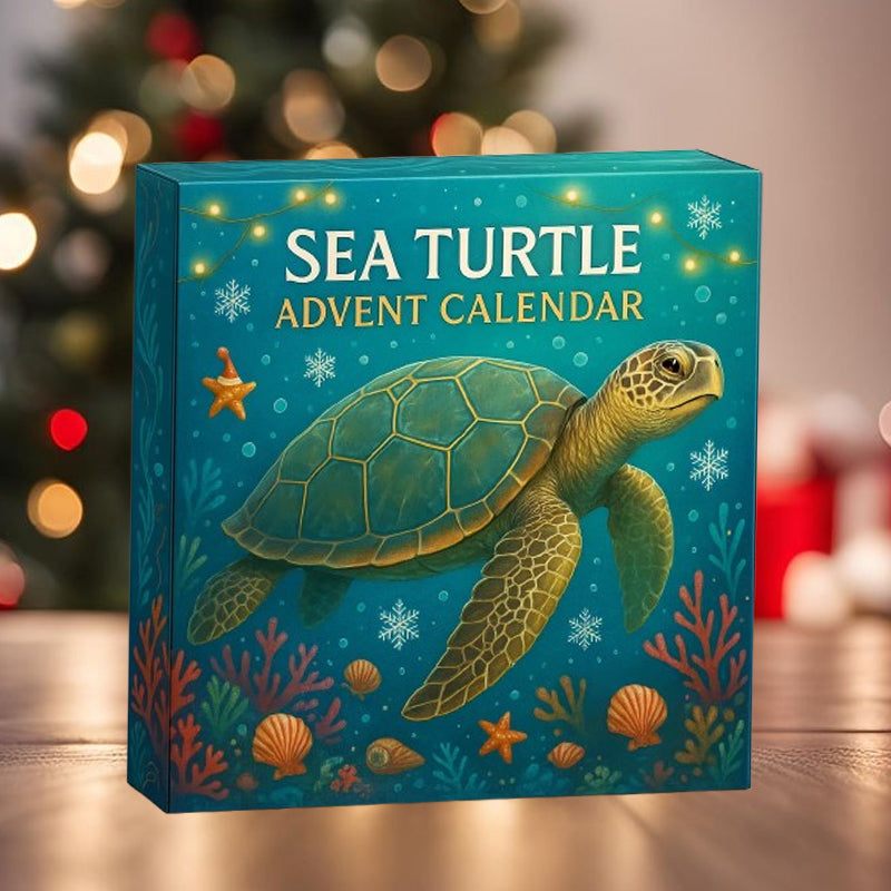 🌊🐢 Tengeri teknős adventi naptár 2025