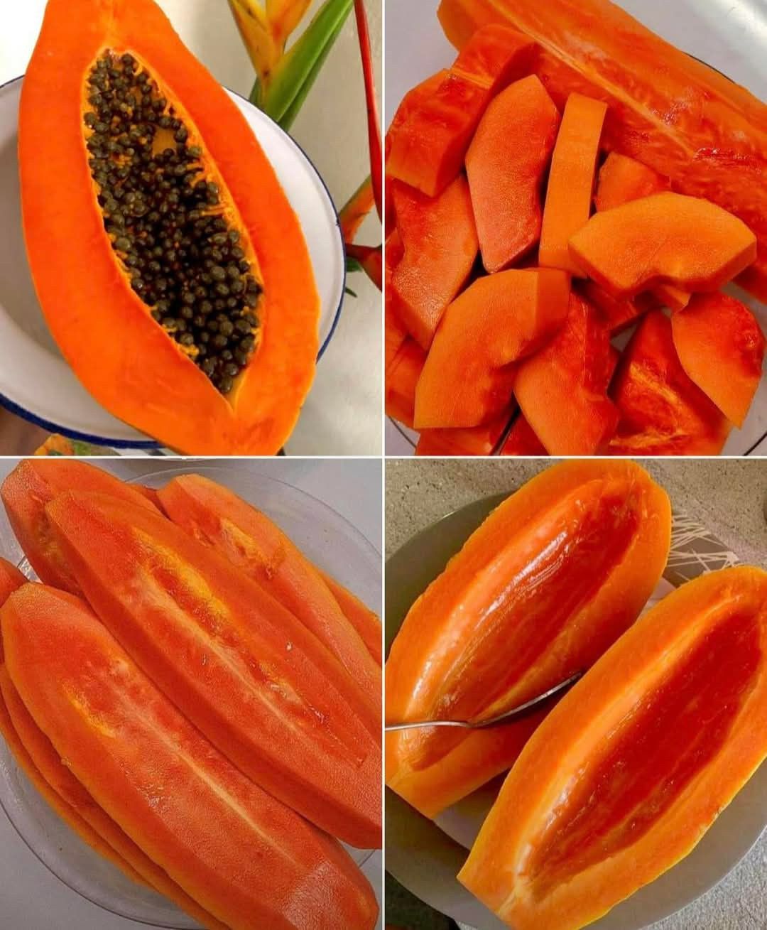 🥭 Ritka Sárkánykarom Papaya – Tápláld a tested, támogasd a mindennapi jóllétedet