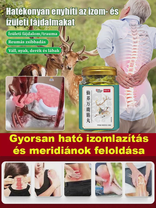 Erős csontokkal és izmokkal gyorsan járni nem álom! Szarvas izom tabletta