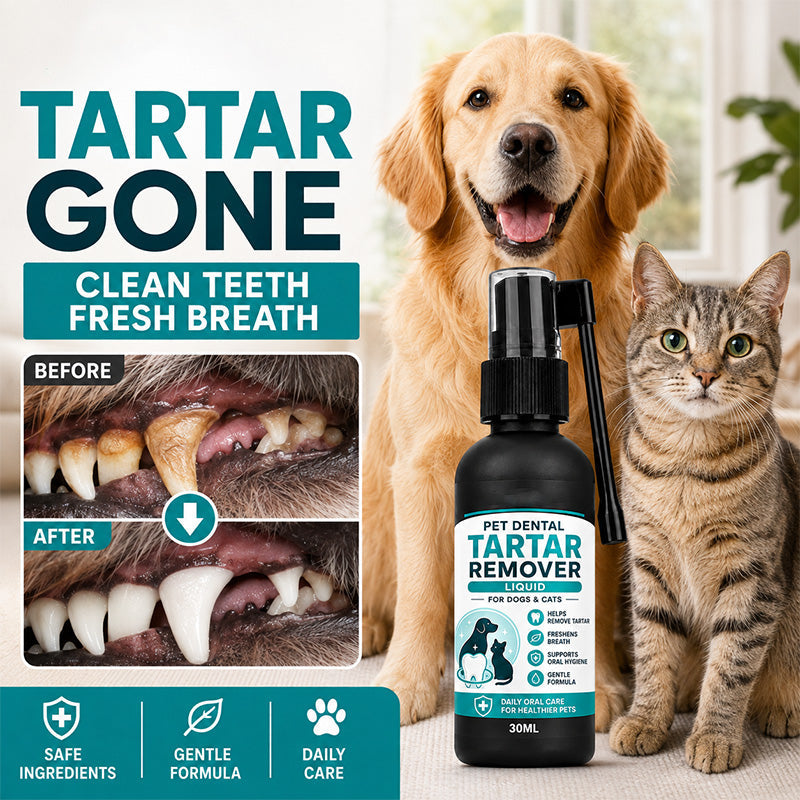 🐾 MOST 50% KEDVEZMÉNY! Kíméletes állatfogtisztító spray – egyszerű fogápolás kutyáknak és macskáknak fogmosás nélkül ✨